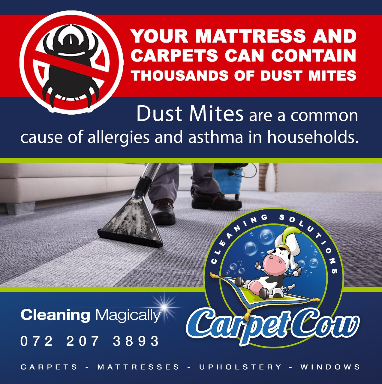 Carpet Cow campaign image showing carpet extraction in progress